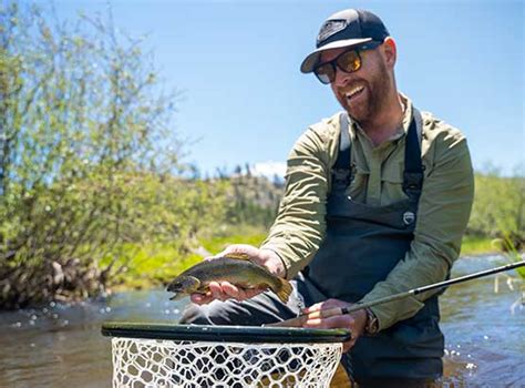Fish AZ Campaign .